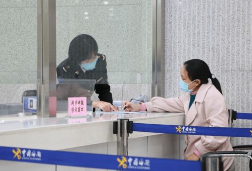 携带宠物出国的完整指南 手续与代理代办